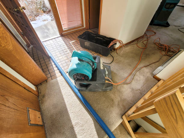 Best Water damage contractors near me  in Utica, NE