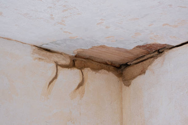 Water damage restoration insurance claims in NE