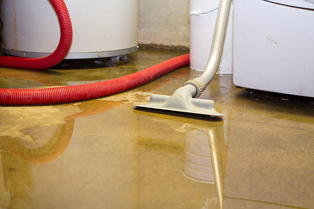 Best Carpet water damage restoration  in Utica, NE