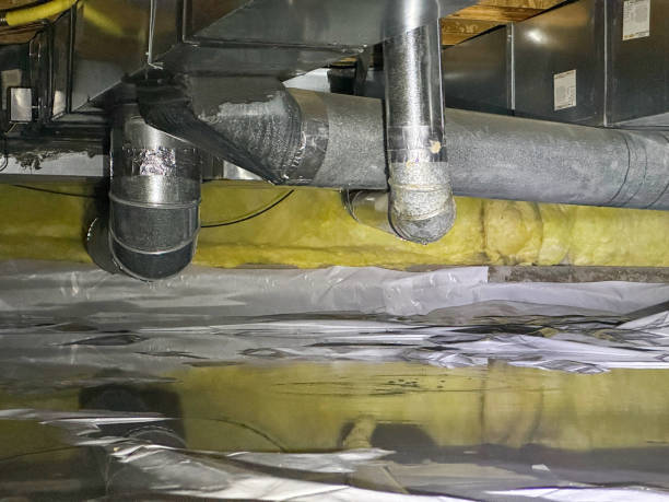 Best Sewage cleanup and water damage restoration  in Utica, NE