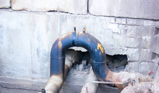 Best Water damage mitigation services  in Utica, NE