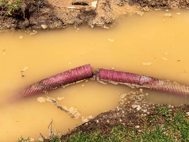 Best Emergency water extraction  in Utica, NE