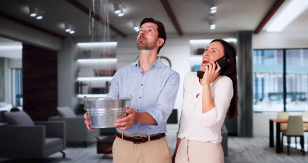 Best Water damage cleanup near me  in Utica, NE
